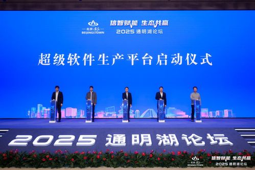 信智赋能 生态共赢 2025通明湖论坛在北京亦庄盛大开幕，共绘软件产业发展新蓝图